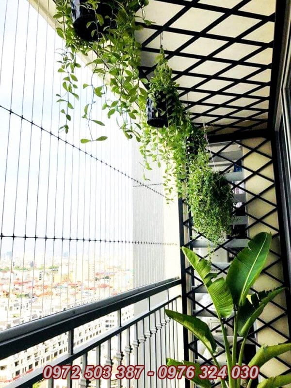 có nên lắp lưới an toàn