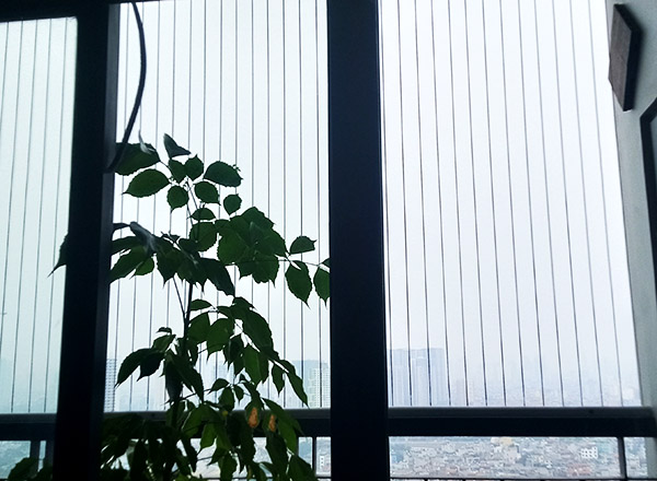 lưới an toàn tại time city hoàng mai