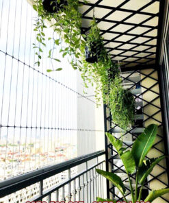 Lưới an toàn hòa phát