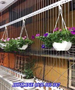 lưới an toàn tại tây hồ
