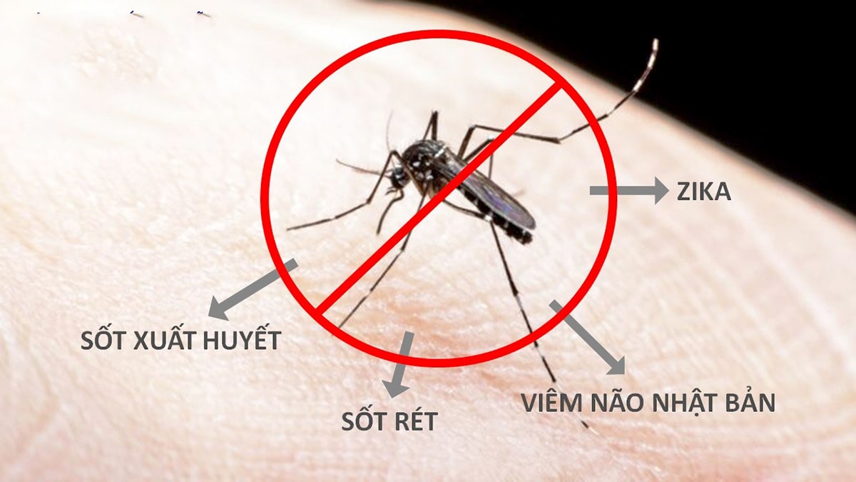 các bênh do muỗi gây ra cho con người