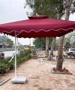 ô lệch tâm 2,5m