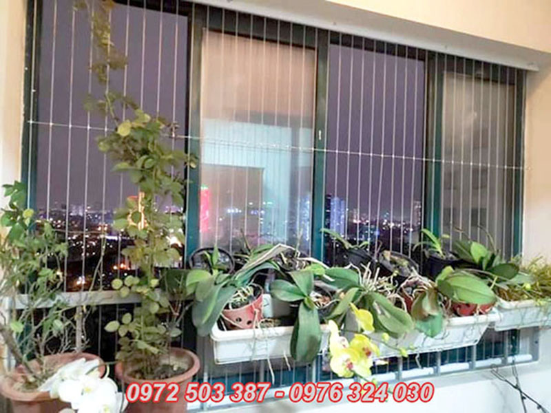 Lưới an toàn lắp vị trí cửa sổ