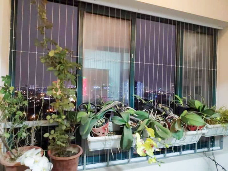 Lưới ban công hòa phát do công ty Bình Nguyên thi công thực tế 
